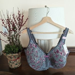 3 bras! Cacique Lightly Lined No Wire 44H